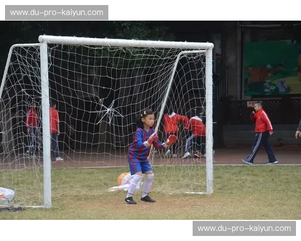 绿茵争锋:申鑫与贵州的“冰与火之歌”,谁才是那道永恒的足球光芒?