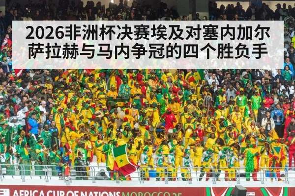 africa cup of nations football match | kaiyun